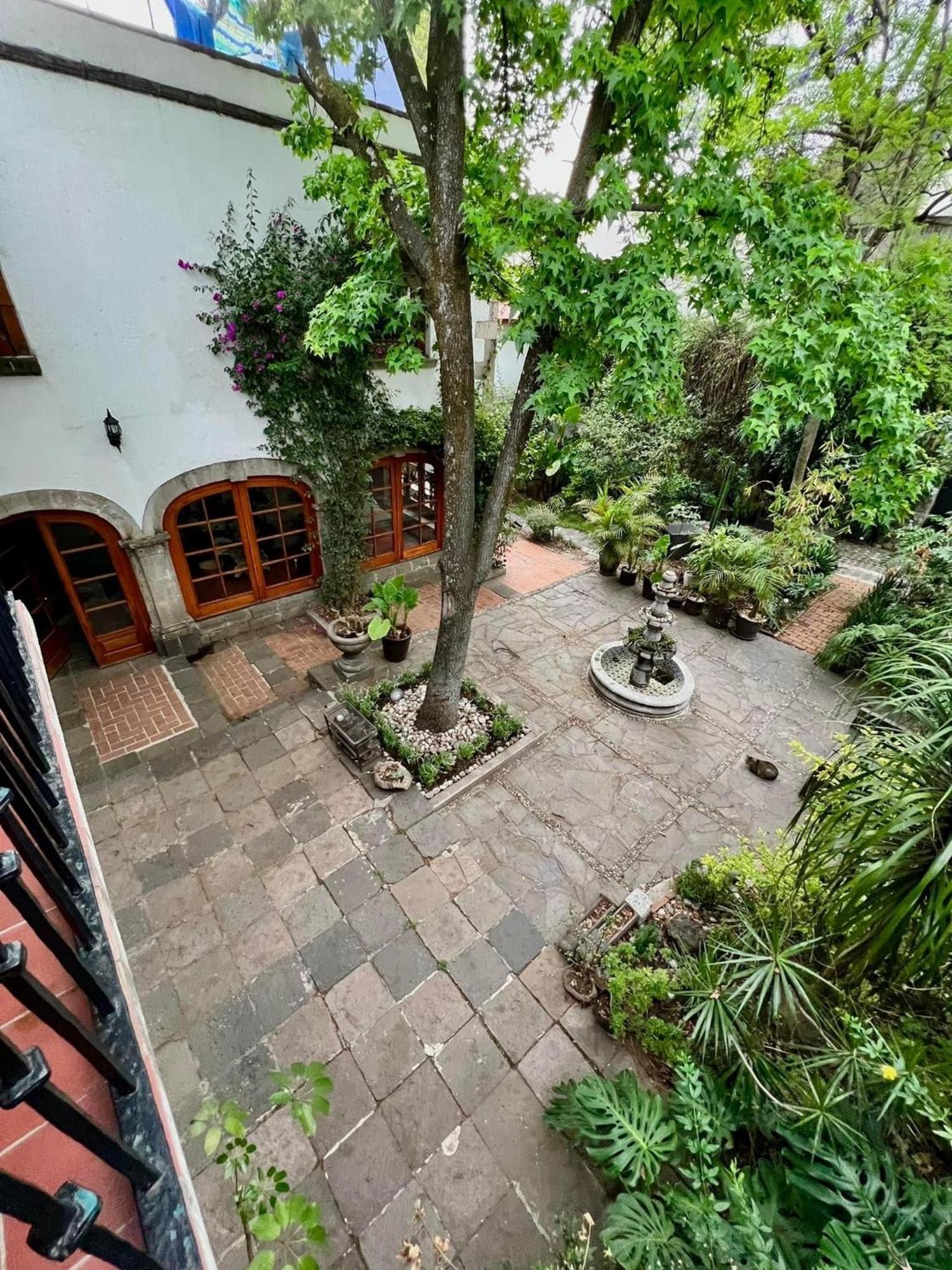 Boutique Hotel And Gallery In San Angel Inn Mexiko-Stadt Exterior foto